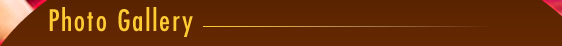 ofodile plastic surgery, breast augmentation